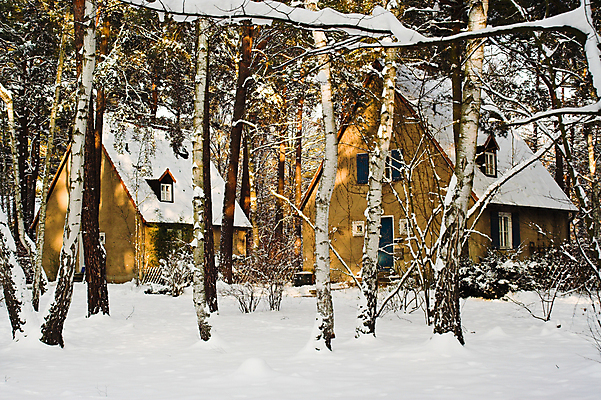 포토 JPG 해외이미지 겨울 가정 주택 사람없음 가로 흰색 소나무 숲 시골집 자작나무 식민지 눈내림 해외포토 나무 계절 컬러 눈_날씨 건물 파일형식 이미지허브