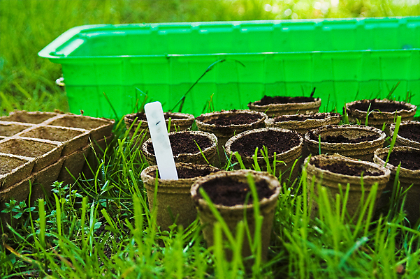 포토 JPG 해외이미지 식물 화분 씨앗 초원 사람없음 가로 초록색 농작물 정원 봄 뿌리기 원예 해외포토 계절 컬러 농업 모션 취미 파일형식 이미지허브