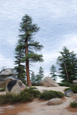 포토 JPG 해외이미지 나무 식물 디자인 계절 종이 백그라운드 일러스트 자연 하늘 표면 수채화 미술 풍경 사람없음 야외 평화 환경 고요 페인트 시골 그리기 스케치 그림 질감 예술가 장면 침엽수 해외일러스트 컨셉 모션 문화예술 생태계 파일형식 이미지허브