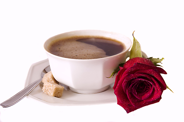 포토 JPG 해외이미지 커피 음료 백그라운드 탁자 아침 휴식 미술 사람없음 컵 갈색 숟가락 검은색 어둠 카페 머그컵 흰색 신선 뜨거움 액체 닫기 달콤 아침식사 수증기 설탕 굽기 컵받침 크림 아로마 카푸치노 에스프레소 내추럴 고립 단절 카페인 스타일 맛있는 해외포토 주간 식기 컬러 가구 컨셉 모션 문화예술 수저 상점 식사 맛 구이 받침대 파일형식 이미지허브