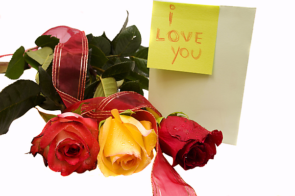 포토 JPG 해외이미지 식물 기념일 꽃잎 꽃 분홍색 꽃다발 백그라운드 잎 꽃무늬 자연 휴가 발렌타인데이 선물 사랑 사람없음 빨간색 초록색 물 컬러풀 뷰티 장미 정원 쪽지 봄 낭만 벚꽃 흰색 축하 신선 닫기 심볼 묘사 부드러움 내추럴 고립 해외포토 자연요소 계절 감정 컬러 컨셉 무늬 모션 데이이벤트 이벤트 감각 생태계 파일형식 이미지허브