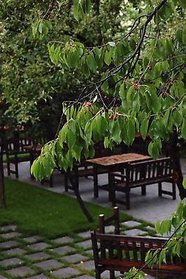 포토 JPG 해외이미지 나무 식물 계절 공원 꽃 분홍색 잎 밭 농업 자연 하늘 부활절 사람없음 야외 초록색 파란색 뷰티 농장 환경 정원 맑음 침묵 봄 성장 벚꽃 나뭇가지 시골 신선 개화 체리 그룹 닫기 부드러움 내추럴 해외포토 공공시설 기념일 산업 컬러 과일 모션 날씨 소리 감각 생태계 파일형식 이미지허브