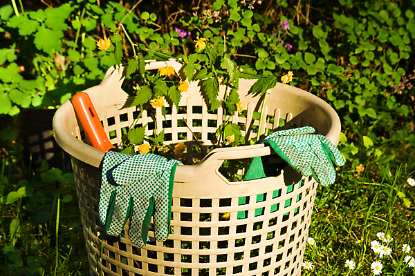 포토 JPG 해외이미지 식물 장갑 사람없음 가로 초록색 햇빛 바구니 정원 업무 작업 쓰레기 원예 낭비 해외포토 잡화 컬러 컨셉 취미 태양 파일형식 이미지허브