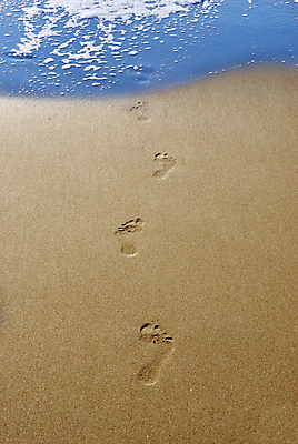 포토 JPG 해외이미지 길 모래 파도 바다 여행 컨셉 맨발 자연 휴가 휴식 사람없음 야외 물 모래사장 평화 맑음 산책 자유 고독 떨어짐 인쇄 발자국 질감 주말 단계 내추럴 방법 선로 양발 파라다이스 혼자 해외포토 자연요소 감정 자국 발 날씨 생태계 파일형식 이미지허브