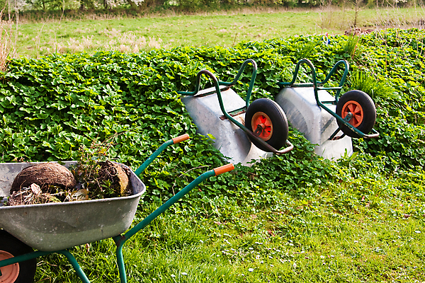 포토 JPG 해외이미지 식물 농업 사람없음 야외 가로 초록색 농장 금속 정원 수레 장비 회색 공구 원예 해외포토 산업 컬러 재질 취미 카트 도구 파일형식 이미지허브