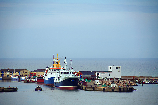 포토 JPG 해외이미지 산업 음식 바다 낚시 덴마크 어류 사람없음 건물 항구 보트 큼 북쪽 포트 최초 스칸디나비아 해외포토 건축물 배_교통 교통시설 레저 북유럽 수중동물 크기 방향 파일형식 이미지허브