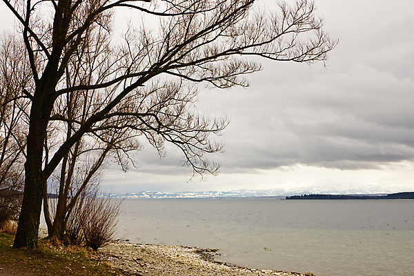 포토 JPG 해외이미지 나무 구름 호수 겨울 자연 하늘 산 독일 풍경 사람없음 가로 물 회색 가을 시골 알프스 흐림 해외포토 자연요소 식물 계절 유럽 컬러 날씨 생태계 파일형식 이미지허브