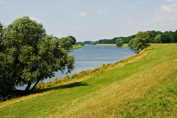 포토 JPG 해외이미지 나무 구름 자연 하늘 독일 풍경 초원 사람없음 야외 가로 초록색 물 여름 파란색 강 햇빛 해외포토 자연요소 식물 계절 유럽 컬러 태양 생태계 파일형식 이미지허브