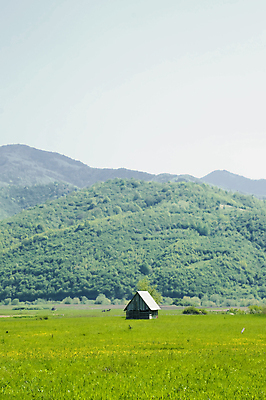 포토 JPG 해외이미지 나무 꽃 밭 자연 하늘 산 주택 사람없음 야외 목재 초록색 파란색 울타리 농장 평화 우주 마을 침묵 봄 시골 신선 분위기 땅 언덕 시골집 천국 루마니아 산소 내추럴 고립 수평선 해외포토 식물 계절 유럽 컬러 컨셉 농업 재료 건물 담장 소리 원소 생태계 파일형식 이미지허브