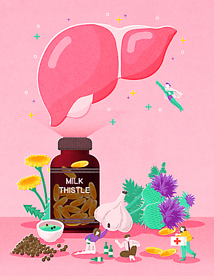 전신 여자 남자 분홍색 일러스트 술병 들기 앉기 여러명 성인 알약 건강관리 비행 약병 찻잔 민들레 음주 간 슈퍼맨 건강식품 엉겅퀴 영양제 통마늘 헛개나무 성인만 건강기능식품 국내일러스트 AI파일 꽃 음식 컬러 다수 모션 병_용기 잔 주류 건강 마늘 관리 사람 약 한약재 장기_의학 영웅 병_담는 파일형식 벡터