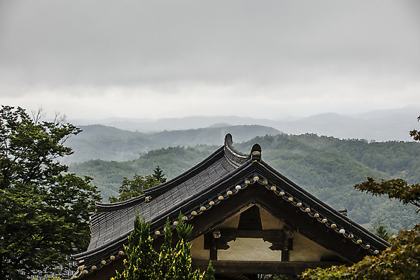 포토 JPG 주간 나무 불교 산 한옥 풍경 사람없음 야외 사찰 경상북도 기와지붕 부석사 영주 국내포토 자연요소 식물 한국전통 종교 고건축 종교건축 지붕 기와 경상도 파일형식
