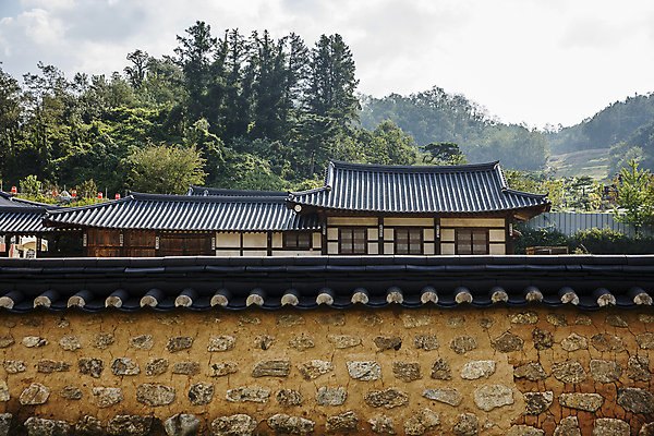 포토 JPG 주간 나무 불교 한옥 사람없음 야외 사찰 경상북도 부석사 영주 기와담장 국내포토 자연요소 식물 한국전통 종교 고건축 종교건축 기와 담장 경상도 파일형식