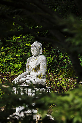 포토 JPG 주간 불교 사람없음 야외 나뭇가지 사찰 소프트포커스 경상북도 불상 부석사 석불 영주 국내포토 자연요소 나무 종교 종교건축 촬영기법 경상도 파일형식