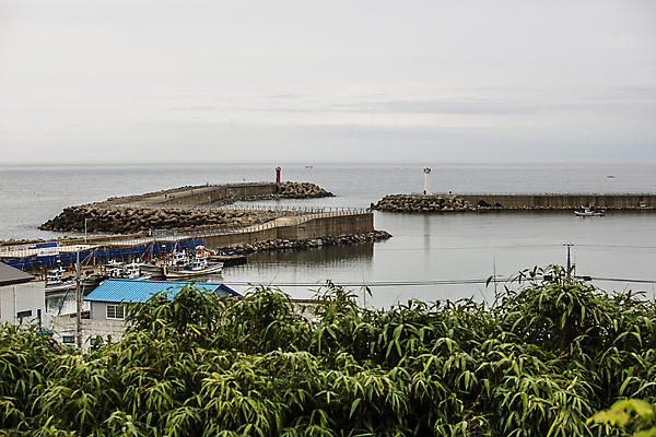 포토 JPG 주간 바다 나뭇잎 등대 사람없음 야외 항구 경상북도 방파제 어촌 동해 울진 국내포토 자연요소 공공시설 잎 교통시설 한국 시골 경상도 파일형식