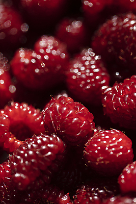 포토 JPG 근접촬영 사람없음 아웃포커스 신선 국내포토 뷰포인트 촬영기법 파일형식