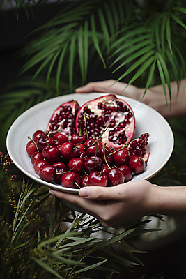 포토 JPG 그릇 손 들기 야외 신체부위 신선 체리 석류 야자수잎 국내포토 식기 잎 과일 모션 사람 파일형식