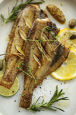 포토 JPG 접시 요리 사람없음 레몬 라임 생선구이 로즈메리 가자미 플레이팅 국내포토 식기 과일 어류 상차림 구이 허브 생선요리 파일형식