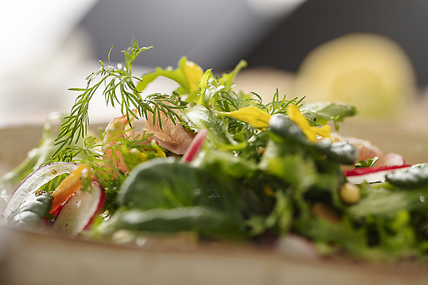 포토 JPG 그릇 실내 요리 근접촬영 사람없음 아웃포커스 샐러드 신선 소프트포커스 국내포토 식기 음식 뷰포인트 촬영기법 내부 파일형식