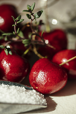 포토 JPG 실내 근접촬영 사람없음 아웃포커스 체리 소금 스쿱 국내포토 뷰포인트 과일 촬영기법 내부 파일형식