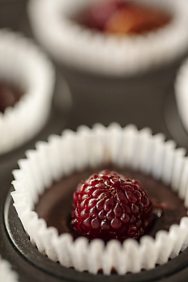 포토 JPG 디저트 사람없음 아웃포커스 초콜릿 미니머핀 국내포토 음식 촬영기법 머핀 파일형식