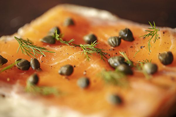 포토 JPG 요리 근접촬영 사람없음 소프트포커스 연어 로즈메리 연어샐러드 케이퍼 국내포토 뷰포인트 촬영기법 어류 샐러드 허브 향신료 파일형식