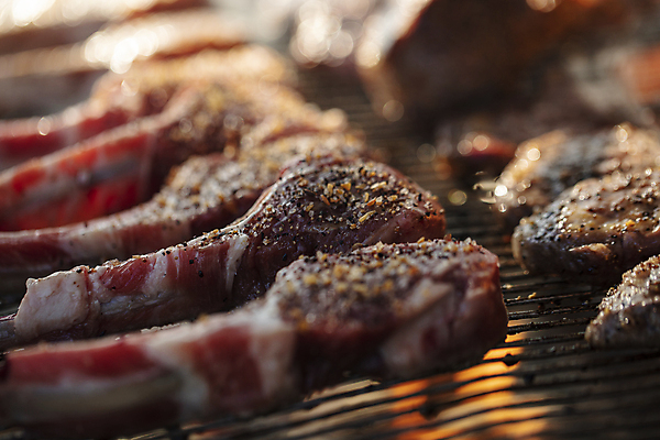 포토 JPG 실내 요리 사람없음 아웃포커스 그릴 굽기 양고기 숯불 양고기구이 국내포토 주방용품 촬영기법 육류 내부 구이 파일형식