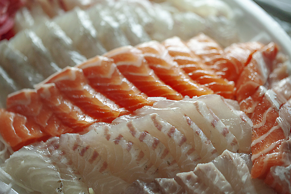 포토 JPG 요리 사람없음 생선회 신선 연어 광어 모듬회 우럭 국내포토 어류 회 파일형식