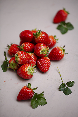 포토 JPG 식재료 회색배경 딸기 실내 사람없음 신선 딸기잎 제철과일 국내포토 백그라운드 잎 과일 내부 회색 제철 파일형식