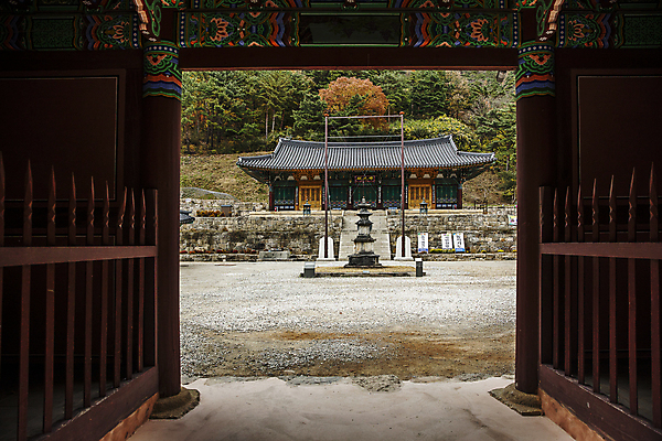 포토 JPG 주간 나무 불교 풍경 사람없음 야외 석탑 대문 강원도 동해시 삼화사 국내포토 자연요소 식물 종교 한국 문 탑 사찰 파일형식 동해_강원도