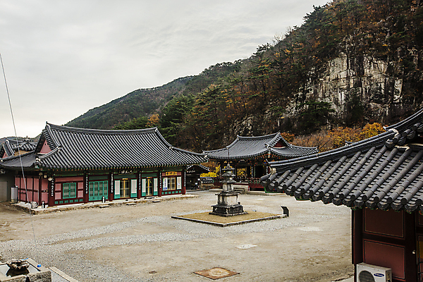 포토 JPG 주간 나무 불교 바위산 풍경 사람없음 야외 석탑 강원도 동해시 삼화사 국내포토 자연요소 식물 종교 한국 탑 사찰 돌산 파일형식 동해_강원도