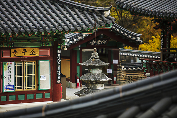 포토 JPG 주간 불교 풍경 사람없음 야외 석탑 강원도 기와지붕 기와담장 동해시 삼화사 국내포토 자연요소 종교 지붕 한국 기와 담장 탑 사찰 파일형식 동해_강원도