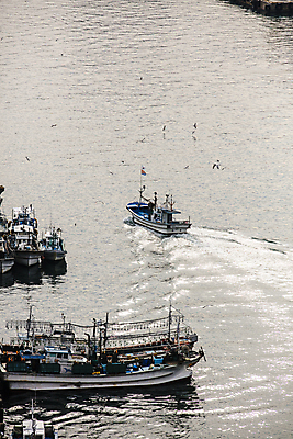 포토 JPG 주간 바다 풍경 사람없음 야외 항구 어선 강원도 묵호항 선박 동해시 국내포토 자연요소 수상교통 배_교통 교통시설 한국 파일형식