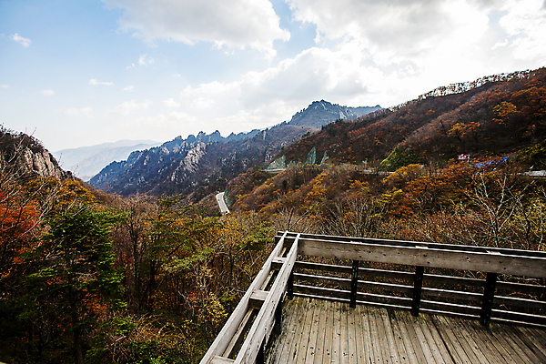포토 JPG 주간 구름 단풍 하늘 단풍나무 풍경 사람없음 야외 가을 숲 강원도 전망대 설악산 양양군 국내포토 자연요소 나무 계절 잎 산 한국 인제 파일형식