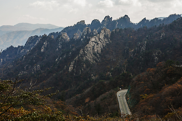 포토 JPG 주간 나무 도로 단풍 자동차 바위산 풍경 사람없음 야외 가을 숲 강원도 설악산 양양군 국내포토 자연요소 식물 계절 길 육상교통 잎 교통시설 산 한국 돌산 인제 파일형식