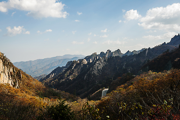 포토 자연요소 식물 계절 잎 산 한국 강원도 인제 파일형식 단풍 숲 하늘 구름 설악산 가을 나무 양양군 JPG 사람없음 야외 주간 풍경 국내포토
