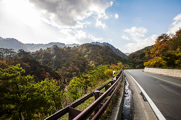 포토 JPG 주간 나무 구름 도로 단풍 하늘 산 풍경 사람없음 야외 가을 숲 강원도 가드레일 설악산 양양군 국내포토 자연요소 식물 계절 길 잎 교통시설 한국 인제 파일형식