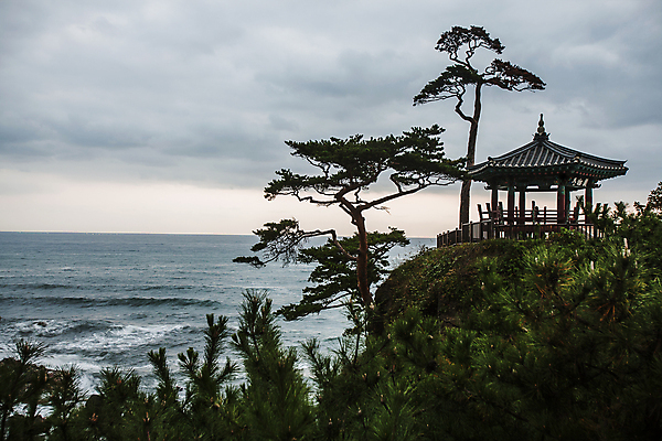 포토 JPG 주간 구름 바다 하늘 풍경 사람없음 야외 소나무 정자 강원도 동해 낙산사 명승지 양양군 국내포토 자연요소 나무 건축물 한국 사찰 양양 파일형식