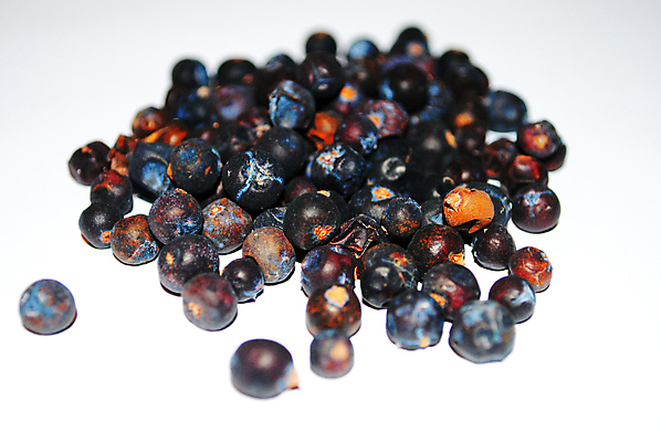 포토 JPG 해외이미지 열매 음식 재료 건강 요리 사람없음 허브 향신료 원뿔 향나무 해외포토 도형 나무 식물 향미료 파일형식 이미지허브