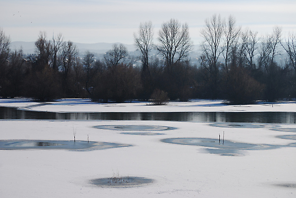 포토 JPG 해외이미지 나무 계절 호수 선 백그라운드 겨울 패턴 곡선 자연 새로움 새해 풍경 사람없음 물 빛 강 햇빛 뷰티 평화 맑음 냉동 얼음 침묵 추위 흰색 시골 연도 질감 서리 장면 막 해외포토 자연요소 식물 컬러 컨셉 무늬 날씨 태양 소리 생태계 파일형식 이미지허브