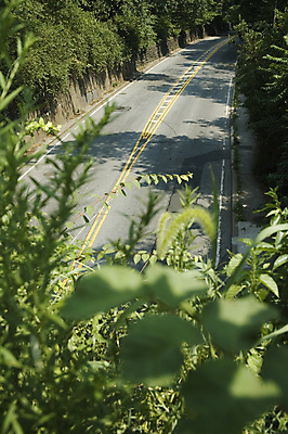 포토 JPG 해외이미지 식물 도로 길 여행 잎 교통시설 자동차 자연 거리 사람없음 초록색 운전 도시 방향 속도 서명 루트 방법 직진 콘크리트 해외포토 육상교통 컬러 교통 모션 시설 생태계 파일형식 이미지허브