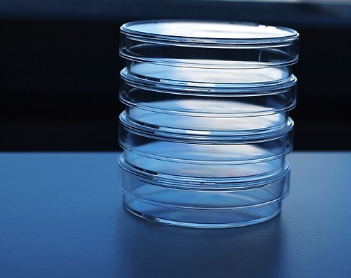 포토 JPG 해외이미지 접시 교육 문화 과학 백그라운드 패턴 유리 추상 세포 기술 건강 병원 실험 사람없음 파란색 약 기둥 조직 실험실 질병 생명공학 위험 과학자 생물학 유리그릇 튜브 암 조제 돌봄 바이오 셀룰러 해외포토 직업 그릇 식기 건축 컬러 컨셉 무늬 의학 모션 재질 만들기 학자 파일형식 이미지허브