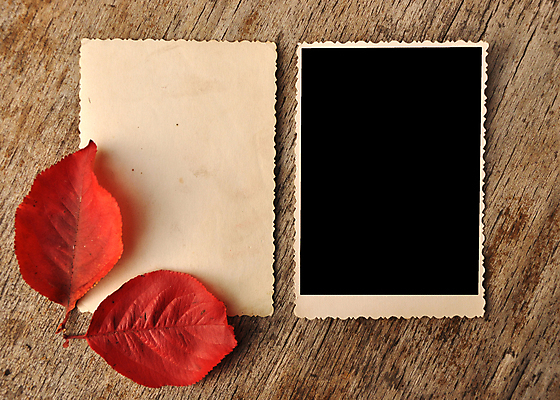 포토 JPG 해외이미지 종이 단풍 낙엽 프레임 사람없음 나뭇결 폴라로이드사진 목업 해외포토 잎 폴라로이드 파일형식 이미지허브