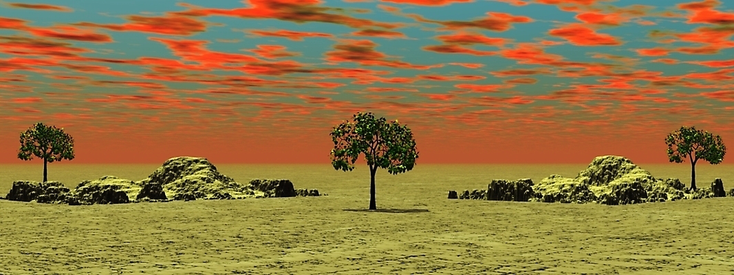 포토 JPG 해외이미지 식물 줄기 밭 농업 자연 하늘 아침 건조 씨앗 풍경 사람없음 빨간색 빛 농작물 농장 식사 새벽 수확 성장 시골 황금 저녁 낟알 폭발 묘사 유기농 보리 내추럴 종료 원자력 숙성 파멸 호밀 해외포토 주간 자연요소 웰빙 산업 컬러 컨셉 곡류 에너지 야간 생태계 파일형식 소멸 이미지허브