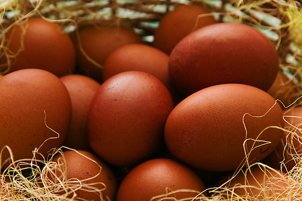 포토 JPG 해외이미지 휴가 종류 사람없음 세로 갈색 바구니 봄 그룹 다발 오브젝트 부활절계란 짜임 강렬 정물화 해외포토 계절 컬러 부활절 계란 그림 파일형식 이미지허브