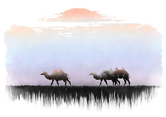 PSD 일러스트 캘리그라피 붓터치 세마리 사람없음 태양 노을 일몰 사막 번짐 낙타 국내일러스트 자연요소 포유류 3 파일형식 효과