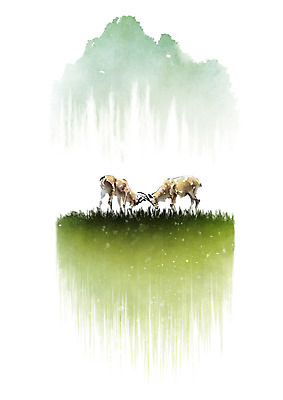 PSD 두마리 일러스트 캘리그라피 붓터치 사슴 산 뿔 초원 사람없음 숲 싸움 번짐 사슴뿔 국내일러스트 2 포유류 모션 파일형식 효과