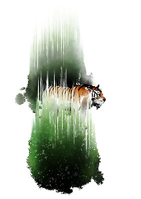 PSD 나무 한마리 일러스트 캘리그라피 붓터치 사람없음 호랑이 숲 번짐 국내일러스트 식물 1 포유류 파일형식 효과