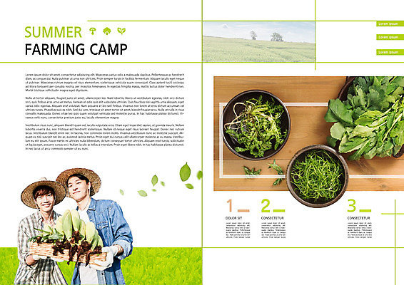 PSD 템플릿 표지디자인 출판디자인 남자 내지 리플렛 채소 북커버 여름음식 옥수수 팜플렛 20대 성인 두명 초록색 여름 한국인 농부 쌈채소 여름캠프 성인남자만 청년농부 제철음식 이미지템플릿 직업 계절 음식 컬러 곡류 사람 동양인 청년 캠핑 제철 남자만 성인만 파일형식 여름_계절