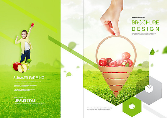 PSD 템플릿 표지디자인 손 출판디자인 여자 표지 어린이 리플렛 잎 북커버 한명 소녀 팜플렛 신체부위 초록색 여름 바구니 한국인 사과 여름캠프 소녀한명만 이미지템플릿 식물 1 계절 컬러 과일 사람 동양인 캠핑 여자한명만 소녀만 파일형식