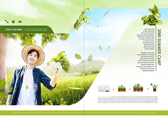 PSD 템플릿 표지디자인 출판디자인 남자 내지 리플렛 북커버 한명 팜플렛 20대 성인 초록색 여름 한국인 농촌 시골 청경채 여름캠프 성인남자한명만 청년농부 이미지템플릿 1 계절 컬러 채소 사람 동양인 청년 캠핑 농부 남자한명만 성인남자만 파일형식